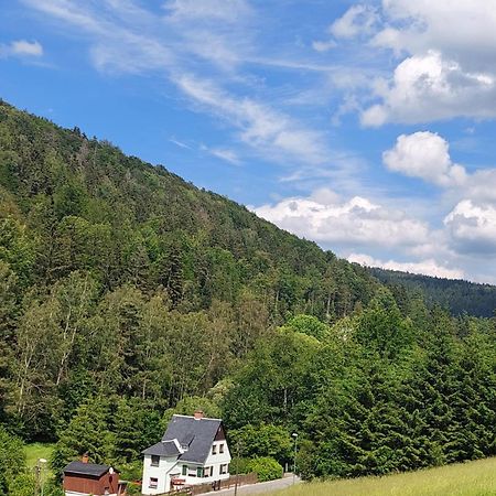 Ferienhaus Rosemarie Erlbach Vogtland Zewnętrze zdjęcie