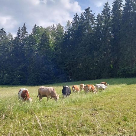 Ferienhaus Rosemarie Erlbach Vogtland Zewnętrze zdjęcie