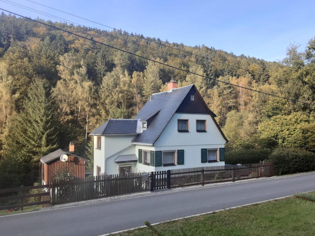Ferienhaus Rosemarie Erlbach Vogtland Zewnętrze zdjęcie