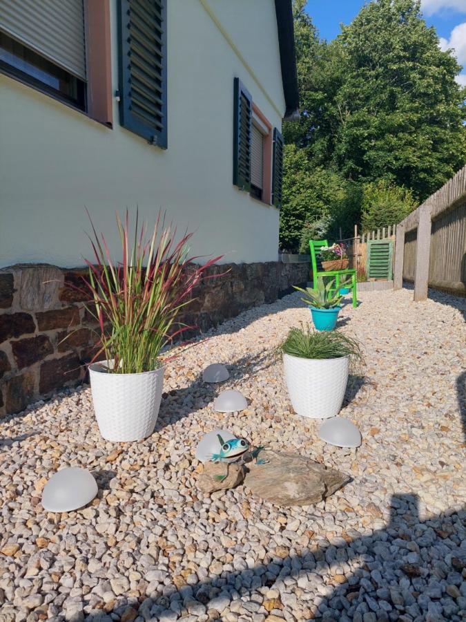 Ferienhaus Rosemarie Erlbach Vogtland Zewnętrze zdjęcie