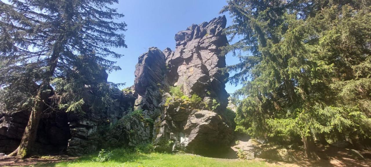 Ferienhaus Rosemarie Erlbach Vogtland Zewnętrze zdjęcie