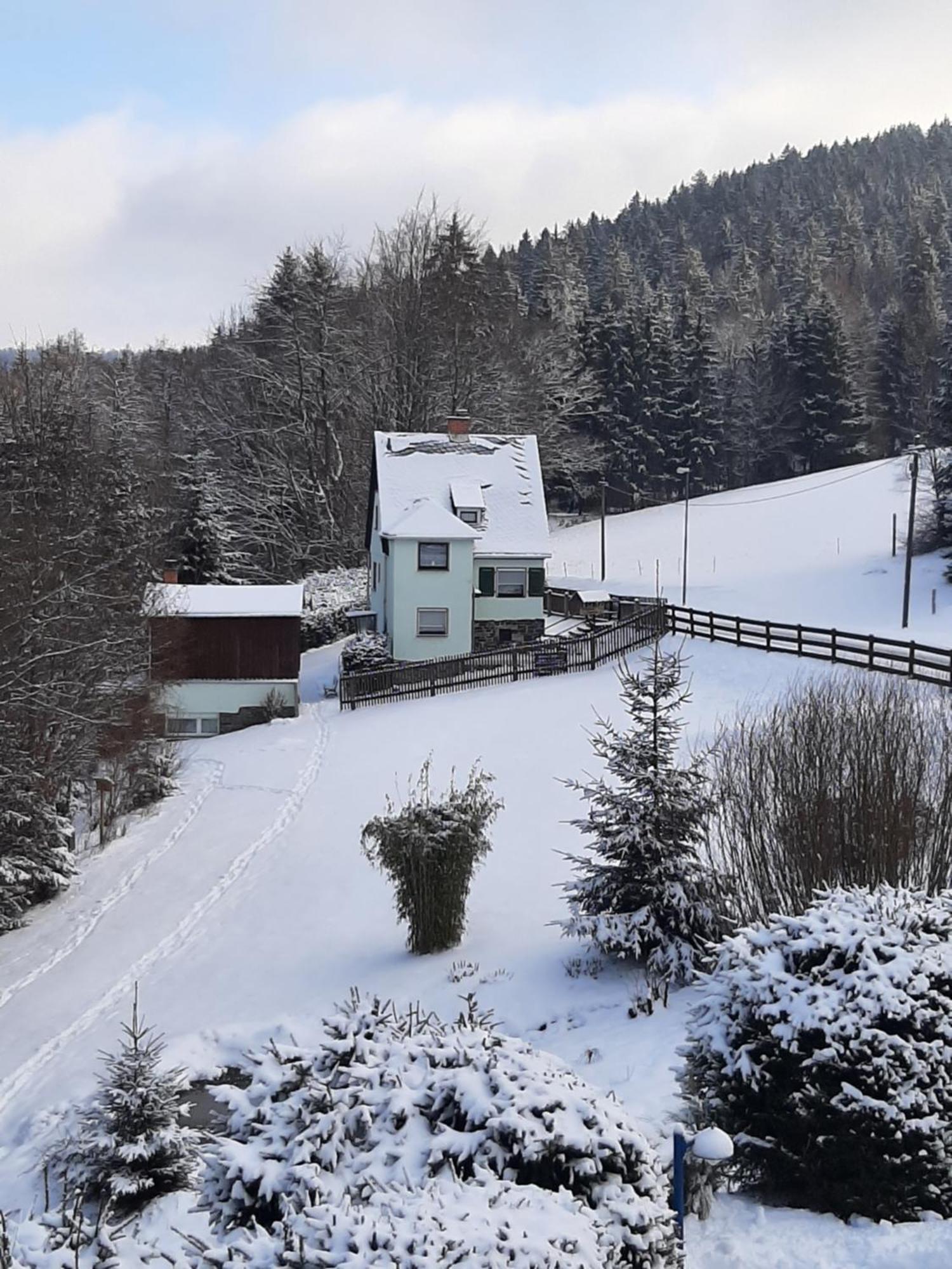 Ferienhaus Rosemarie Erlbach Vogtland Zewnętrze zdjęcie