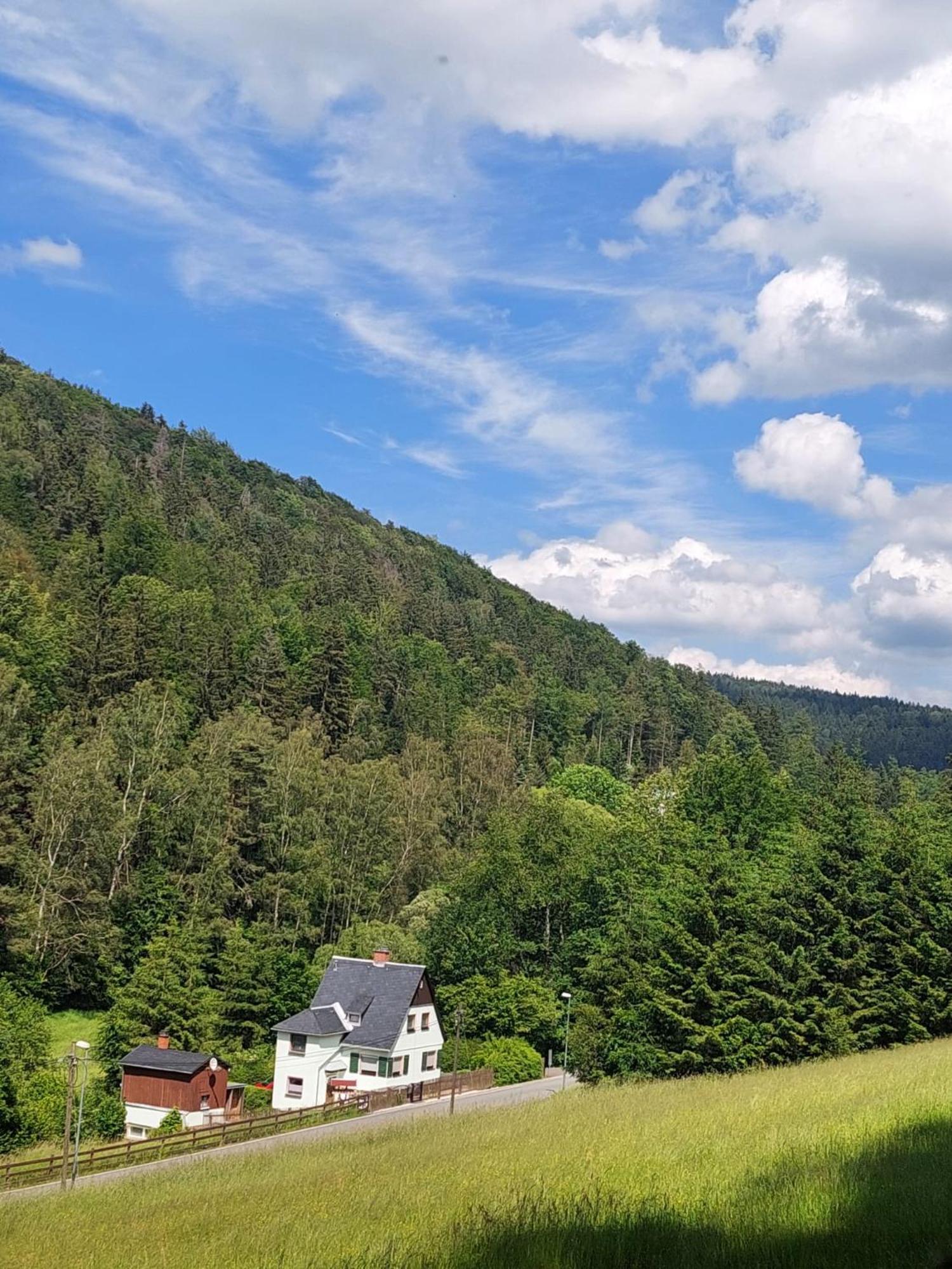 Ferienhaus Rosemarie Erlbach Vogtland Zewnętrze zdjęcie